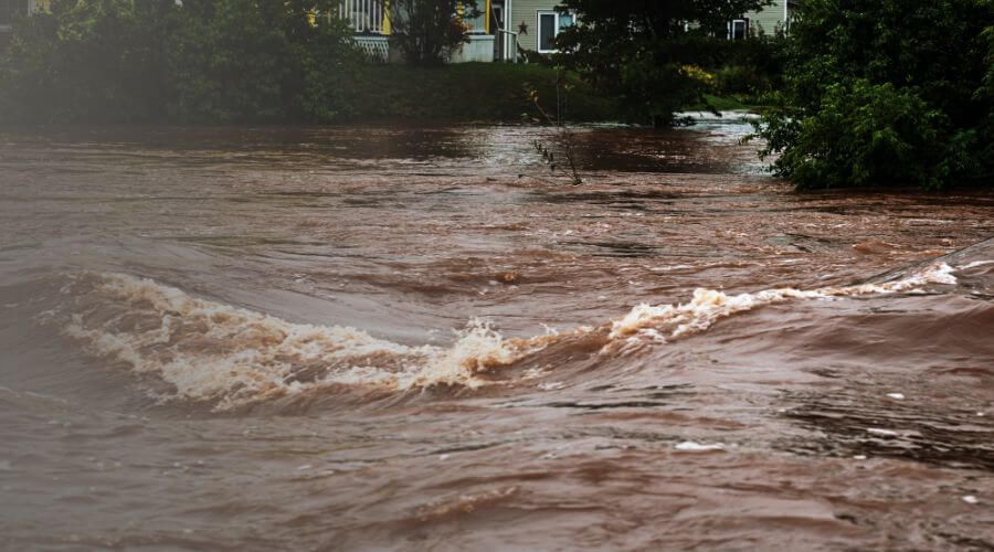 Why choose water damage restoration service for basement flood restoration services in San Diego